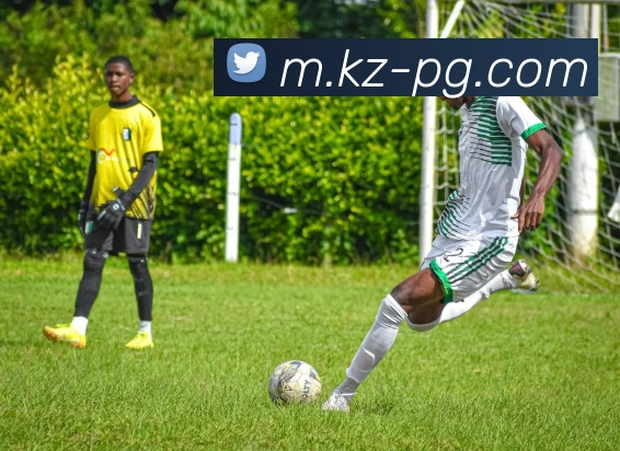 pg电子平台生态图